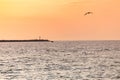 Sea sunset over pier. Beautiful seascape. Dreams of travel and freedom. Buoys at sea. Sundown sky and claim weather Royalty Free Stock Photo