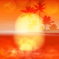 Sea sunset with palm tree and light on lens Royalty Free Stock Photo