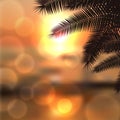 Sea sunset with palmtree leaves and light on lens