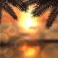 Sea sunset with palmtree leaves and light on lens