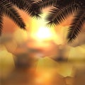 Sea sunset with palmtree leaves and light on lens