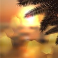 Sea sunset with palmtree leaves and light on lens
