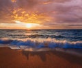 Sea sunset surf wave Royalty Free Stock Photo