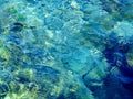 Sea surface background. Nature water background Royalty Free Stock Photo