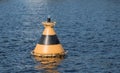Striped buoy on the water Royalty Free Stock Photo