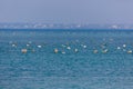 Sea in Taiwan with floating plastic. Fishermen set up nets. Garbage in the sea