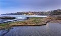 Sea Tamarama PUddle Town