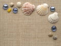Sea theme background frame with seashells Royalty Free Stock Photo
