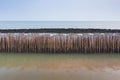 Sea tide bamboo stick barrier wall for protection