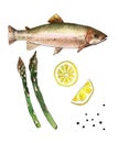 Sea trout fish with lemon and asparagus. Handmade watercolor painting illustration on a white paper art background Royalty Free Stock Photo