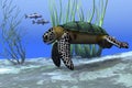 Sea Turtle