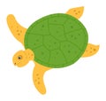 Sea turtle cartoon design style isolated on white Royalty Free Stock Photo