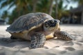 Sea turtle close-up on the sand beach in the tropical island with palm trees. Summertime. Image is generated with the use of an AI