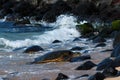 Sea turtle coming ashore at Hookipa beach.