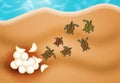 Sea turtle eggs Royalty Free Stock Photo