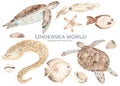 Sea turtle, fish, moray, starfish, seashells, squid watercolor set underwater world Royalty Free Stock Photo