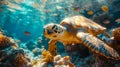 A sea turtle gracefully swims over a bustling coral reef, surrounded by vibrant marine life. The turtles smooth