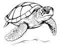 Sea turtle hand drawn engraving style sketch Underwater animals Royalty Free Stock Photo