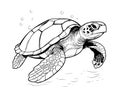 Sea turtle hand drawn engraving style sketch Underwater animals Royalty Free Stock Photo