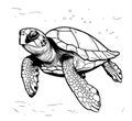 Sea turtle hand drawn Royalty Free Stock Photo