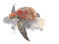 Sea Turtle isolated on white background .Sea Turtle Hand painted Watercolor illustration. Royalty Free Stock Photo