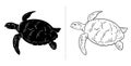 Sea turtle. Hand drawn. turtle isolated on white background Royalty Free Stock Photo