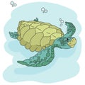 Sea turtle. Hand drawn vector illustration. turtle isolated on white background. Royalty Free Stock Photo