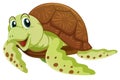 Sea turtle with happy face Royalty Free Stock Photo