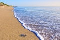 Sea Turtle Hatchling Racing To The Ocean