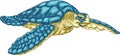 Sea Turtle Hawksbill Royalty Free Stock Photo