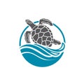 Sea turtle icon