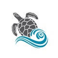 Sea turtle icon