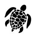 sea turtle icon on white background. sea turtle symbol. turtle sign. flat style