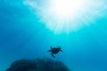 A sea turtle is illuminated by beautiful ethereal sun light as it swims through pristine blue water on the Great Barrier Reef Royalty Free Stock Photo