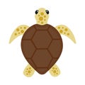 Sea turtle isolated on a white background. Symbol of wild life of endangered animal species. Vector flat cartoon Royalty Free Stock Photo