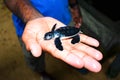 Sea Turtle At Kosgoda Sea Turtle Conservation Project