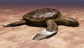 Sea turtle laying eggs on the beach 3d rendering Royalty Free Stock Photo