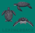 Sea Turtle Leatherback Cartoon Vector Illustration