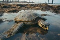 A sea turtle lies amidst muck, a likely victim of coastal pollution, with industrial structures in the background