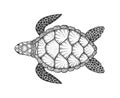 Sea turtle in line art style. Hand drawn vector illustration. Design for coloring book. Set of ocean elements