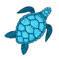 Sea turtle in line art style. Hand drawn vector illustration. Design for coloring book. Royalty Free Stock Photo