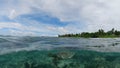 Sea Turtle in Maldives Coral Reef Royalty Free Stock Photo