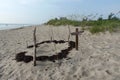 A sea turtle nest on the beach