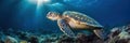Sea turtle in blue ocean closeup. Green turtle in natural environment. Tropical sea animal underwater AI generative illustration Royalty Free Stock Photo