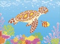 Sea turtle on a reef Royalty Free Stock Photo