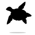 Sea turtle reptile black silhouette animal Royalty Free Stock Photo