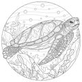 Sea turtle among the seaweed.Coloring book antistress and adults