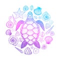 Sea turtle and shells in line art style. Hand drawn vector illustration. Design for coloring book. Set of ocean elements Royalty Free Stock Photo