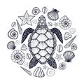 Sea turtle and shells in line art style. Hand drawn vector illustration. Set of ocean elements