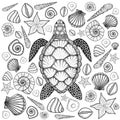 Sea turtle and shells in line art style. Hand drawn vector illustration. Set of ocean elements Royalty Free Stock Photo